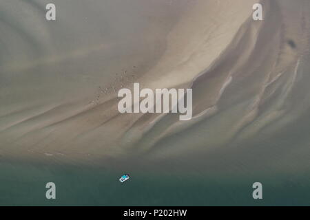 Pellicani su un sandbank in una laguna del Golfo del Messico, Texas, Stati Uniti d'America Foto Stock