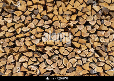 Palo di legno con molti piccoli pezzi di legno Foto Stock