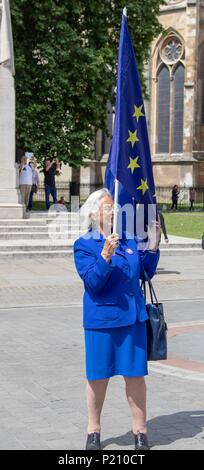 Londra, Regno Unito. Xiii Jun, 2018. Anti Brexit attivisti al di fuori della House of Commons Credito: Andy Morton/Alamy Live News Foto Stock