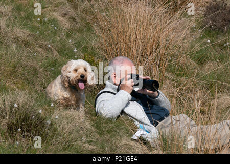 Fotografo con la sua macchina fotografica con un cane (Cockapoo) Guardando sopra la sua spalla e di agire come suo assistente. Foto Stock