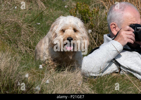 Fotografo con la sua macchina fotografica con un cane (Cockapoo) Guardando sopra la sua spalla e di agire come suo assistente. Foto Stock