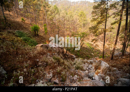 Valle dove Jim Corbett shot il Chowgarh maneating tigre, Kala Agar, Uttarakhand, India Foto Stock