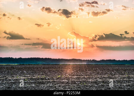 Arata dopo il raccolto di un campo nei pressi di Kiev, in Ucraina. La nebbia oltre il campo di mattina presto. Un paesaggio rurale con colori luminosi all'alba. Foto Stock