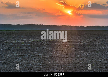 Arata dopo il raccolto di un campo nei pressi di Kiev, in Ucraina. La nebbia oltre il campo di mattina presto. Un paesaggio rurale con colori luminosi all'alba. Foto Stock