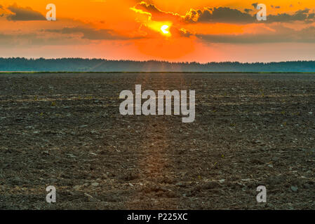 Arata dopo il raccolto di un campo nei pressi di Kiev, in Ucraina. La nebbia oltre il campo di mattina presto. Un paesaggio rurale con colori luminosi all'alba. Foto Stock