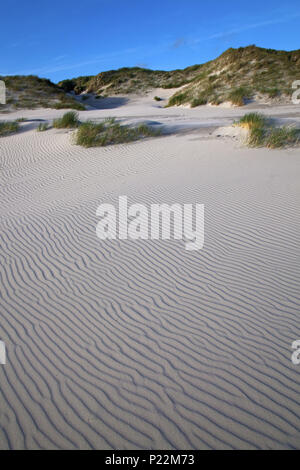 Kniepsand, isola di Amrum, il Mare del Nord, Schleswig-Holstein il Wadden Sea National Park, SCHLESWIG-HOLSTEIN, Germania, Foto Stock