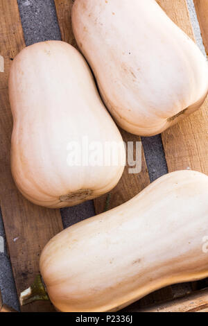 Close up dettaglio di zucca in un rustico di gabbia in legno. Foto Stock