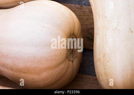 Close up dettaglio di zucca in un rustico di gabbia in legno. Foto Stock
