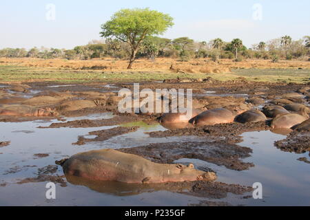 Tanzania highlights Foto Stock