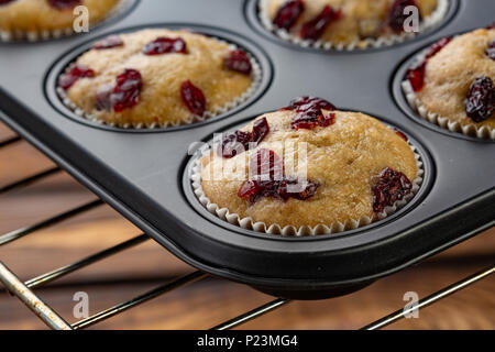Muffin fatti in casa con la ciliegia in una forma di cottura sul broun sfondo di legno Foto Stock