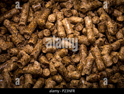 I bricchetti di legno per le caldaie a combustibile solido, primo piano Foto Stock