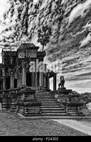 Cambogia Angkor Wat tempio interno complesso e Palm tree Foto Stock