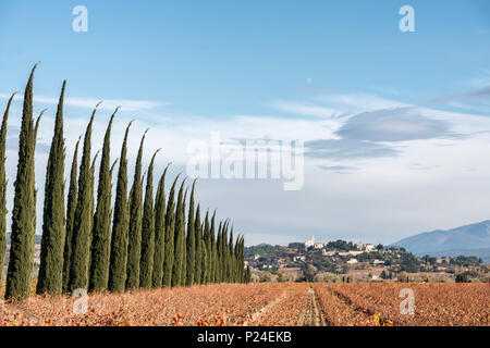 Cairanne, Vaucluse Provence, Francia, vista del comune di Cairanne, dipartimento Vaucluse, Regione Provence-Alpes-Côte d'Azur, Arrondissement Carpentras, cantone di Vaison-la-Romaine. Foto Stock