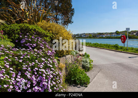 Re Giorgio V Memorial a piedi accanto alla piscina Copperhouse Hayle Cornwall Inghilterra UK Europa Foto Stock