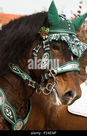 Pellegrinaggio Leonhardi-Ritt in St. Leonhard am Wonneberg Foto Stock