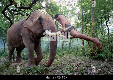 Pellicola originale titolo: Tom Yum Goong. Titolo inglese: Tom Yum Goong. Regista: PRACHYA PINKAEW. Anno: 2005. Stelle: TONY JAA. Foto Stock