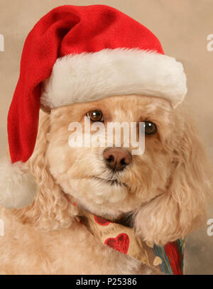 Close-up verticale del cucciolo indossando Santa Hat Foto Stock