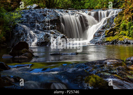 Una delle tante cascate e cascate lungo il dolce Creek in Oregon Suislaw della National Forest. Foto Stock