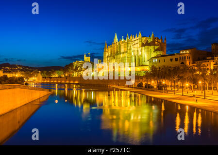 Scena notturna della famosa Cattedrale religiosa di la Seu, Santa Maria dell'isola di Palma de Mallorca, Plaza de la Seu - Spagna Foto Stock