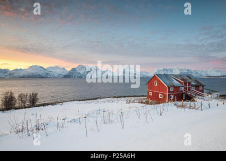 Una tradizionale casa rossa nel paesaggio innevato al tramonto sul fiordo, Djupvik, Alpi Lyngen, Tromso, Norvegia, Europa Foto Stock