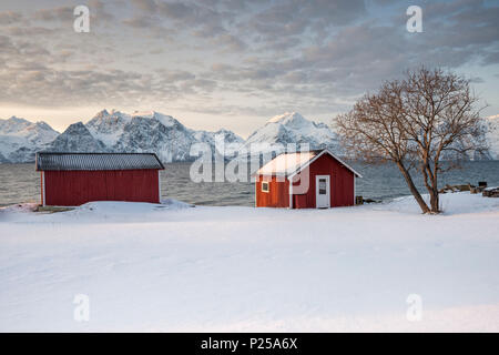 Tipica Rorbu nel paesaggio innevato al tramonto sul fiordo, Djupvik, Alpi Lyngen, Tromso, Norvegia, Europa Foto Stock