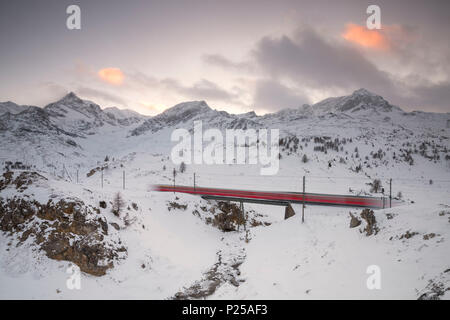 Bernina Express passa attraverso il paesaggio innevato vicino al Passo Bernina del Cantone dei Grigioni, Engadina, Svizzera, Europa Foto Stock