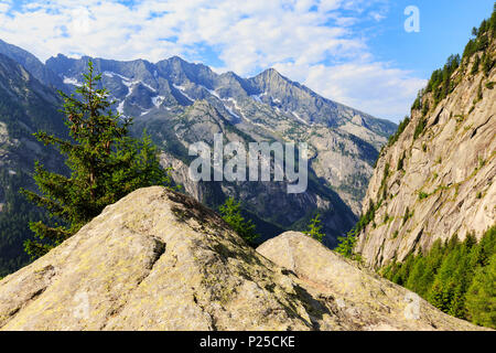 La Val di Mello riserva durante l'estate, Valmasino, Valtellina, provincia di Sondrio, Lombardia, Italia. Foto Stock