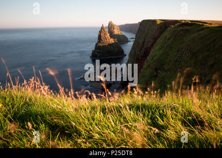 Regno Unito, Scozia, Duncansby pile Foto Stock