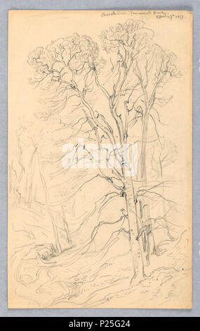 . Inglese: Disegno, schizzi. Alberi., 27 aprile 1898 . Inglese: un rettangolo verticale. Complementare: un legno con un faggio in primo piano su un terreno collinare. La retromarcia, orizzontalmente: alberi in corrispondenza del bordo del legno sono mostrati a sinistra una collina con un prato e un gruppo di alberi in background, a destra. . 27 Aprile 1898 107 Disegno, schizzi. Alberi., 27 aprile 1898 (CH) 18368995 Foto Stock