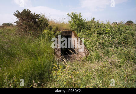 Entrata a un dismessi Air Raid Shelter vicino Stanton Ferriera, Derbyshire, Regno Unito Foto Stock