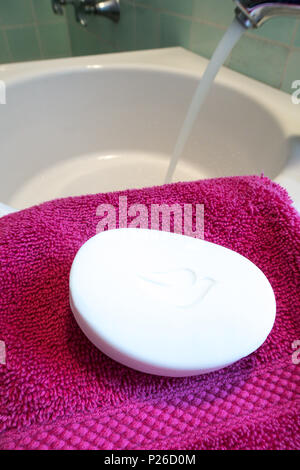 Ancora la vita di Colomba sapone, STATI UNITI D'AMERICA Foto Stock