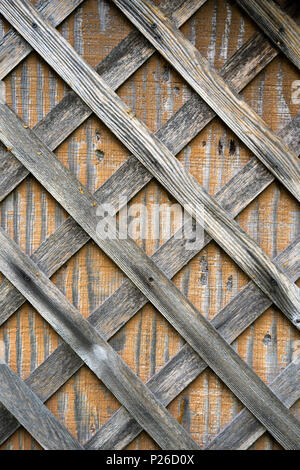 Sbiadita assicelle di legno inchiodati al legno compensato di legno a parete con marcata struttura di legno e nero che si profila lo stampo da piogge come parte di edificio esterno capannone Foto Stock