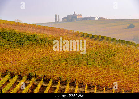 I vigneti e il castello di volta in autunno. L'Italia, Piemonte, provincia di Cuneo, Langhe, Barolo Foto Stock