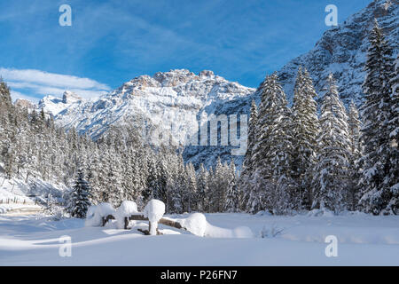 Carbonin / Schluderbach, Dobbiaco Dolomiti Provincia di Bolzano, Alto Adige, Italia, Europa. Le cime del Monte Rudo Foto Stock