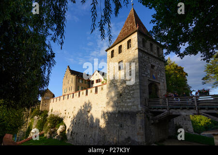 Laufen-Uhwiesen, castello Schloss Laufen, Zürich, Svizzera Foto Stock