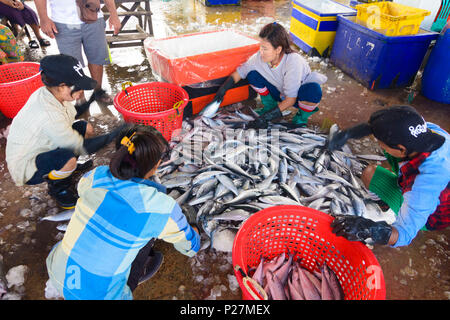 Yangon (Rangoon), San al contrario Pya il mercato del pesce, le donne a smistare pesce, Regione di Yangon, Myanmar (Birmania) Foto Stock