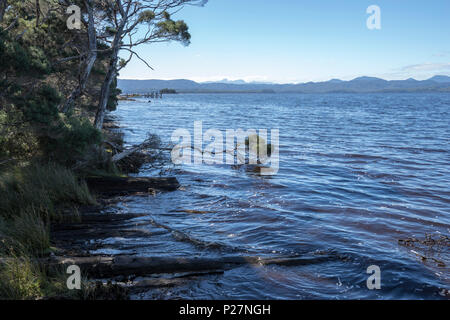 Log originale banchine su Sarah Isola, Macquarie Harbour Foto Stock