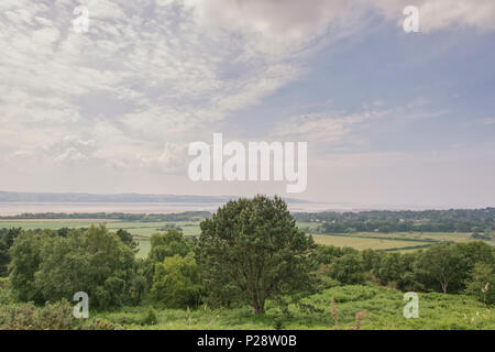 Il Red Rock Country Park Wirral REGNO UNITO Foto Stock