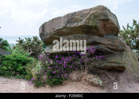 Il Red Rock Country Park Wirral REGNO UNITO Foto Stock