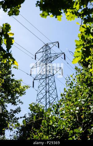 Vista dei tralicci di energia elettrica attraverso la cintura verde di alberi, che trasportano i cavi ad alta tensione Foto Stock