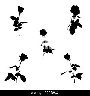 Set di bianco e nero silhouette di rose. Isolato su sfondo bianco. illustrazione vettoriale Illustrazione Vettoriale