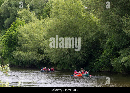 Stand Up Paddle boarding con ispirare a avventura sul fiume Wye a Monmouth. Foto Stock