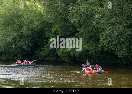 Stand Up Paddle boarding con ispirare a avventura sul fiume Wye a Monmouth. Foto Stock