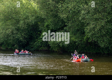 Stand Up Paddle boarding con ispirare a avventura sul fiume Wye a Monmouth. Foto Stock