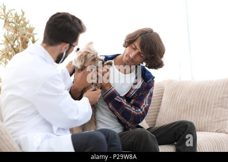 Proprietario amante con un Yorkshire terrier in ufficio di un veterinario Foto Stock