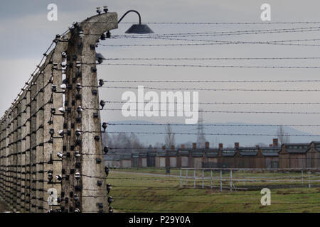 Recinzione elettrificata la linea nelle rovine di Auschwitz-Birkenau con ciminiere in background. Foto Stock