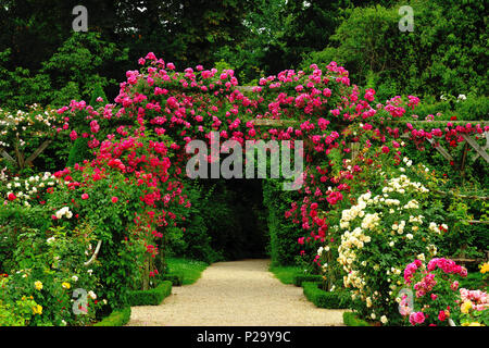 Il Bois de Boulogne Foto Stock