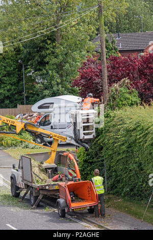 14 giugno 2018. Alvechurch, Worcestershire, Inghilterra, Regno Unito. I contraenti cancellazione di Edera e di siepe intorno un palo del telegrafo all'altezza dell'uccello stagione di nesting Foto Stock