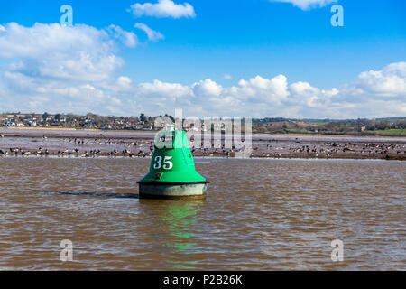 Un assortimento di trampolieri alimentare sulle velme del Fiume Exe vicino a Exton, Devon, Inghilterra, Regno Unito Foto Stock