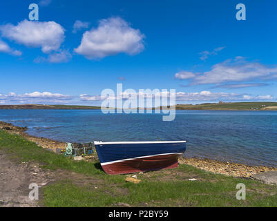 dh Widewall Bay HERSTON ORKNEY Boat spiaggiato lungo la linea costiera costa sud ronaldsay scozia isole Foto Stock